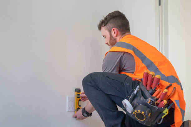 Best Electric Panel Repair  in Energy, IL
